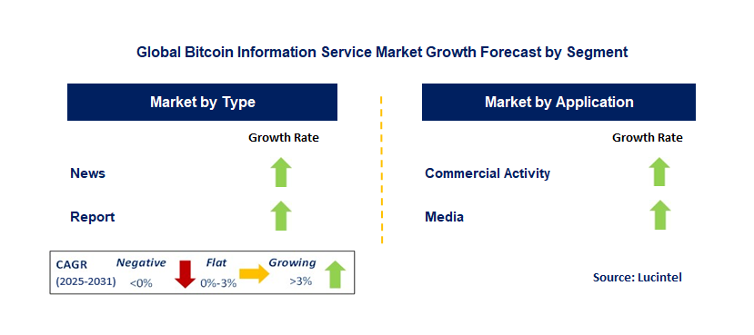 Bitcoin Information Service Market by Segment